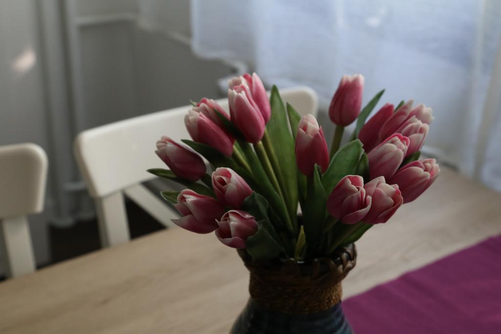 Joop Apartment Zagrzeb Zewnętrze zdjęcie